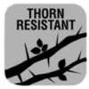 thorn-resistant-lesnyobuvnik